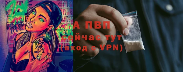 гашик Белокуриха