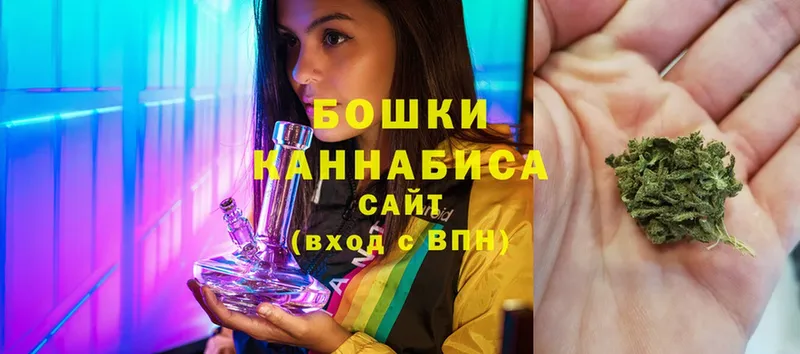 купить закладку  Волосово  Бошки марихуана Ganja 